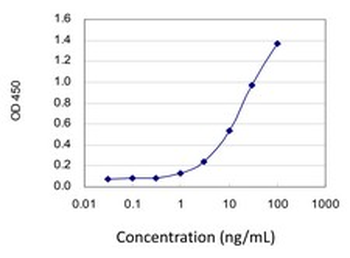CRY1 monoclonal antibody (M01J), clone 4H4-1C4