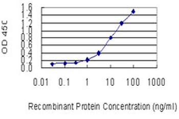 CLTB monoclonal antibody (M01), clone 4B12-1E3