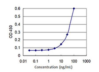 CLIC1 monoclonal antibody (M01J), clone 2D4