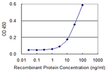 CLIC1 monoclonal antibody (M01), clone 2D4