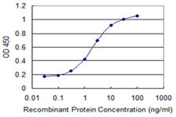 CKMT1B monoclonal antibody (M16), clone 2C9