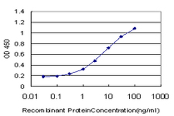 CHN1 monoclonal antibody (M03), clone 3A3