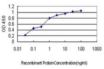 CDSN monoclonal antibody (M01), clone 6F11