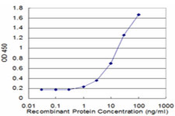 CDK9 monoclonal antibody (M07), clone 2D7