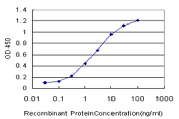 CDK8 monoclonal antibody (M04), clone 2E6
