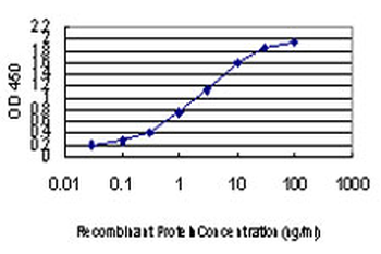 CDK8 monoclonal antibody (M02), clone 6E5