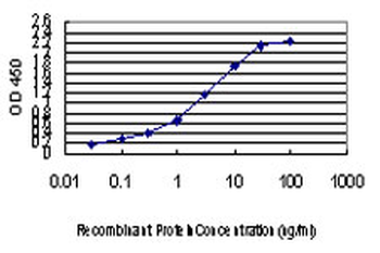 CDK8 monoclonal antibody (M01), clone 6H5