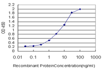 CDK2 monoclonal antibody (M02), clone 2E8