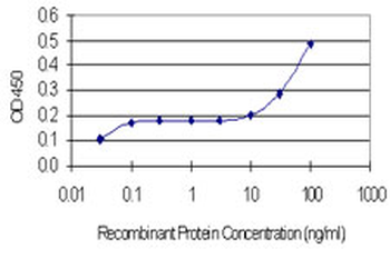 CDH11 monoclonal antibody (M05), clone 3C8