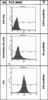 CDH11 monoclonal antibody (M04), clone 1A5