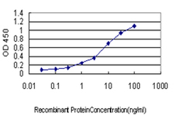 CDC25C monoclonal antibody (M01), clone 3B11