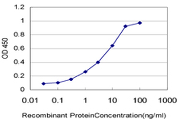 CDC2 monoclonal antibody (M04), clone 8F1