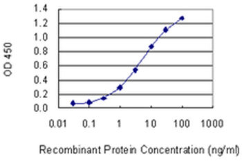 CBL monoclonal antibody (M01), clone 6D12