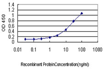 CASP9 monoclonal antibody (M01), clone 3B8-4G2