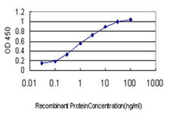 CAPZB monoclonal antibody (M03), clone 4H8