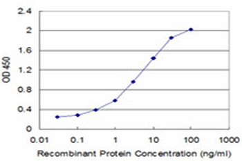 CAPZB monoclonal antibody (M02), clone 1H1