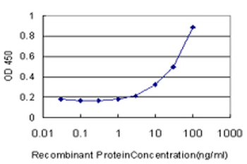 CAMK2A monoclonal antibody (M01), clone 2C4