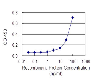 CALR monoclonal antibody (M01), clone 1G11-1A9