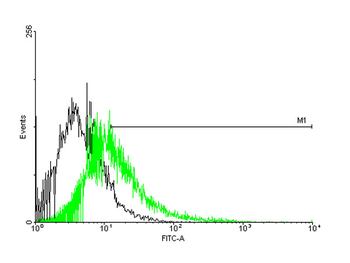 CACNG1 purified MaxPab mouse polyclonal antibody (B01P)