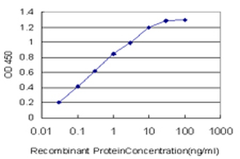 CACNB2 monoclonal antibody (M05), clone 6C4