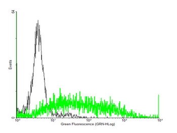 C3AR1 purified MaxPab mouse polyclonal antibody (B01P)