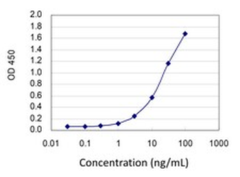 BUB1B monoclonal antibody (M02J), clone 2G5
