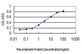 BUB1B monoclonal antibody (M02), clone 2G5