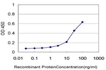 ZFP36L1 monoclonal antibody (M02), clone 1A3