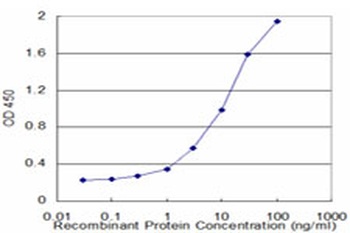 BLMH monoclonal antibody (M02), clone 4A2