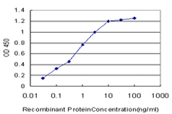 BLK monoclonal antibody (M02), clone 7A12