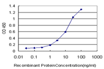 BLK monoclonal antibody (M01), clone 3E5-3A8