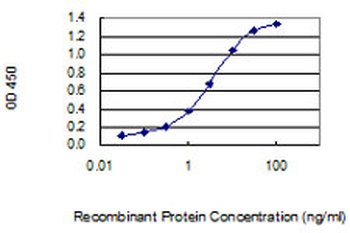BGN monoclonal antibody (M01), clone 4E1-1G7