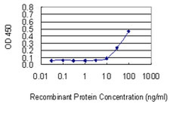BGN monoclonal antibody (M01), clone 4E1-1G7