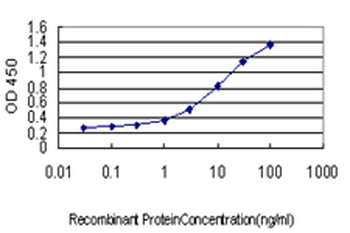 BAG1 monoclonal antibody (M04), clone 4C10