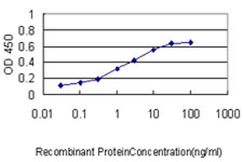 BAG1 monoclonal antibody (M01), clone 4E2