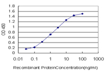 BACH1 monoclonal antibody (M02), clone 1B8