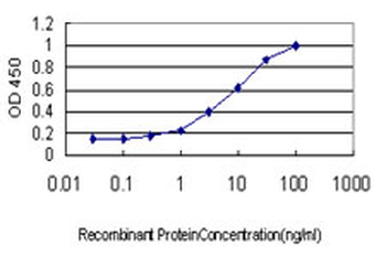 AXL monoclonal antibody (M01), clone 6C8