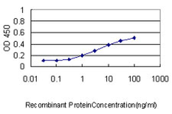 ATP7B monoclonal antibody (M01), clone 3E10