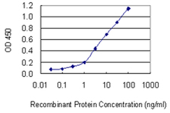 ATP6AP1 monoclonal antibody (M01), clone 3A2