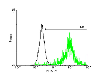 ATP1B3 purified MaxPab mouse polyclonal antibody (B01P)