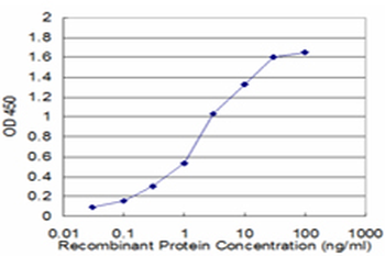 ASNA1 monoclonal antibody (M02), clone 5A3