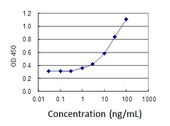 ARRB2 monoclonal antibody (M06J), clone 4D2