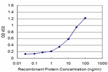ARRB2 monoclonal antibody (M06), clone 4D2