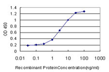 ARNT monoclonal antibody (M01), clone 3D10