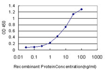 ARHGDIA monoclonal antibody (M02), clone 1G5-2F3