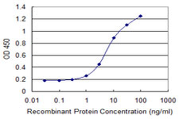 AREG monoclonal antibody (M06), clone 3E4