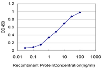 ARAF monoclonal antibody (M04), clone 3G2