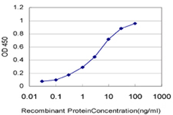 ARAF monoclonal antibody (M03), clone 4H7