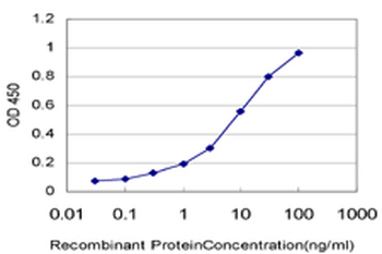ARAF monoclonal antibody (M02), clone 5H8