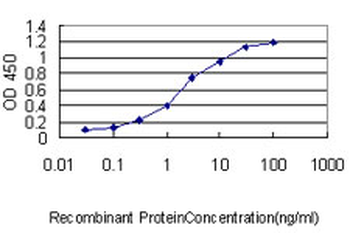 AR monoclonal antibody (M01), clone 1G3